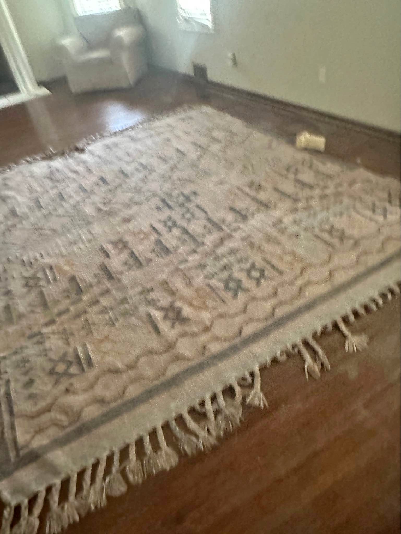 World Market Boho Tribal Rug w/ Fringe – Neutral Tones - Area Rugs ...
