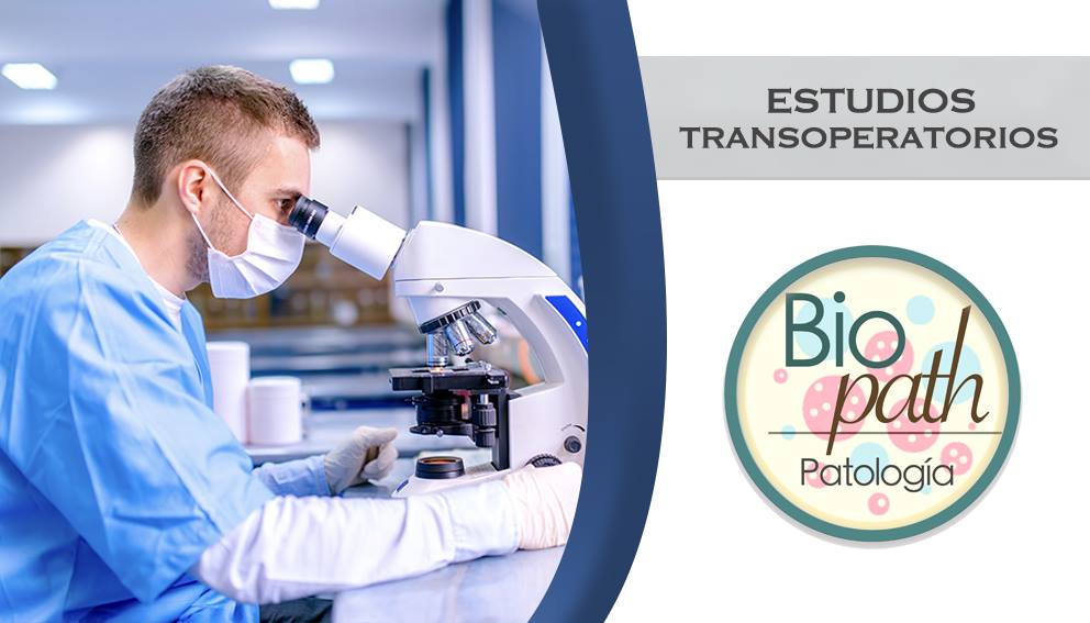 BioPath - En BIOPATH ponemos a tu disposición nuestros...