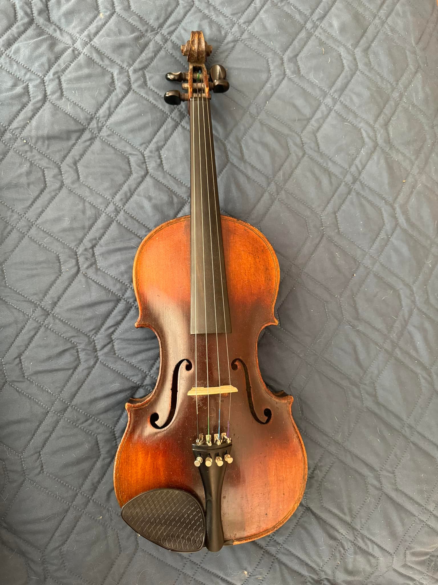 Alfred Stingl-Hofner AS-060-C3/4 cello review for intermediate player