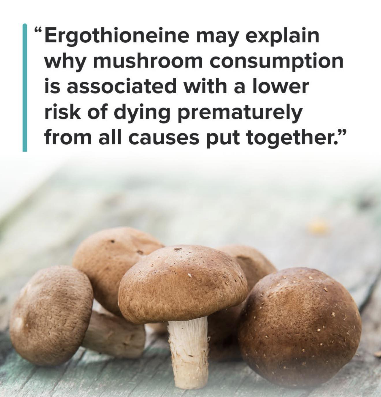 ergothioneine and glutathione portabello mushrooms Button are rich in ergothioneine, a unique antioxidant nutrient that's been getting attention in nutrition research for its potential role in cellular protection oxidative stress defense. Some people describe oxidative Setria® L Glutathion réduit