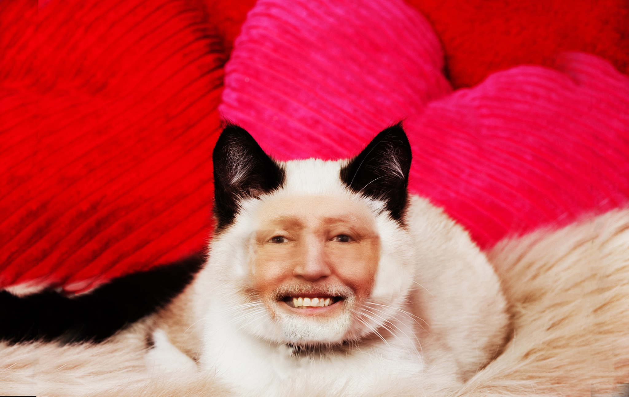 Davis Freeman