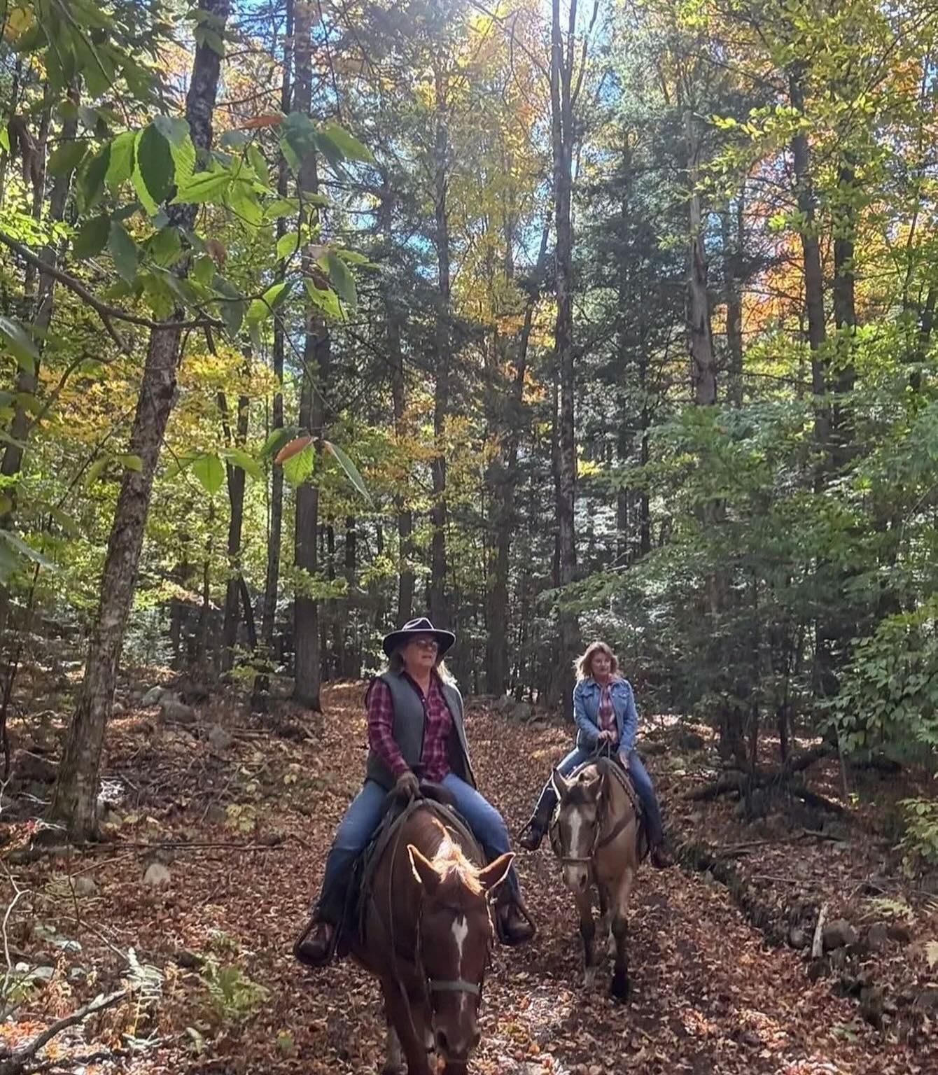 Mountain View Rocking B Ranch | Lake Luzerne NY