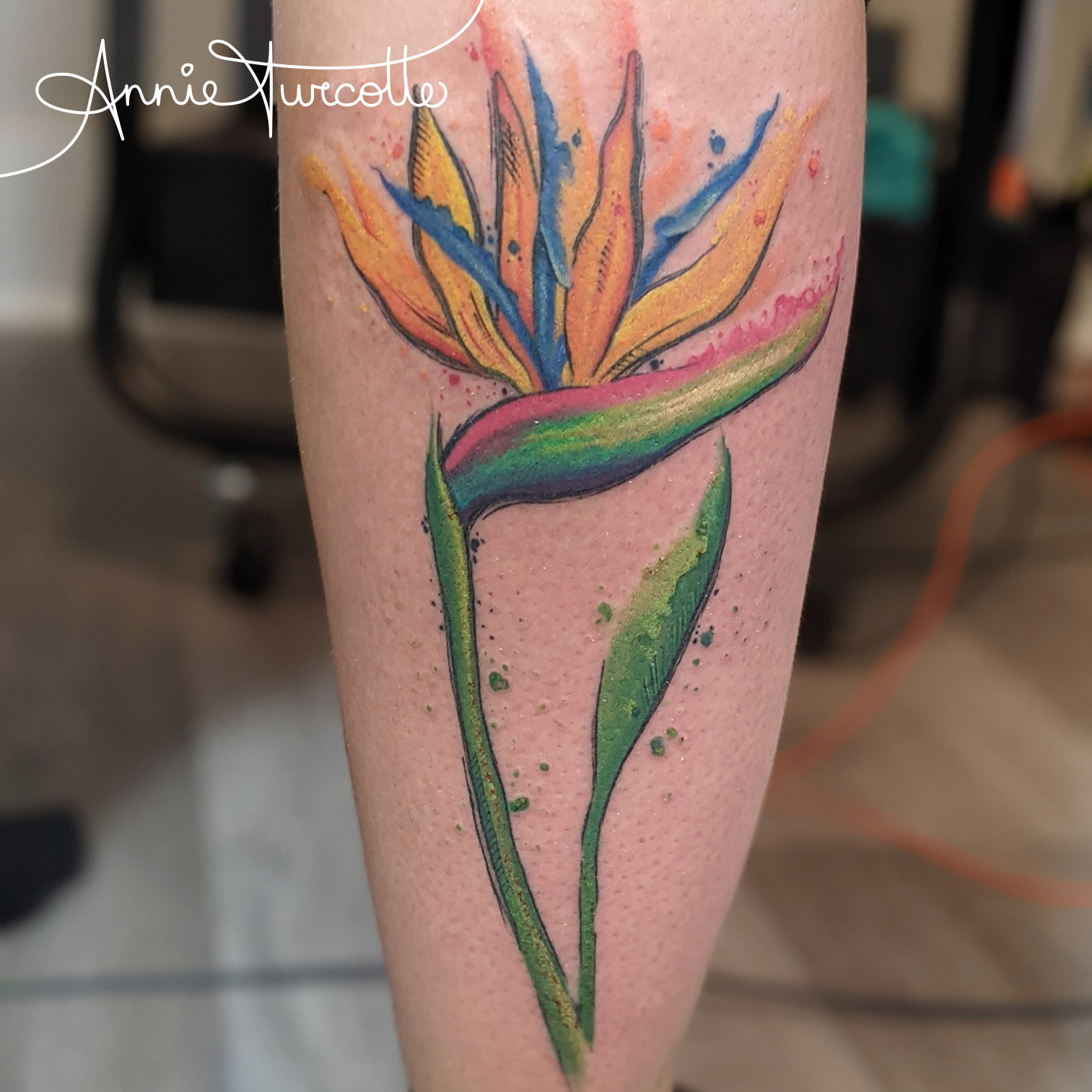 Tatouage Oiseau Du Paradis Fleur