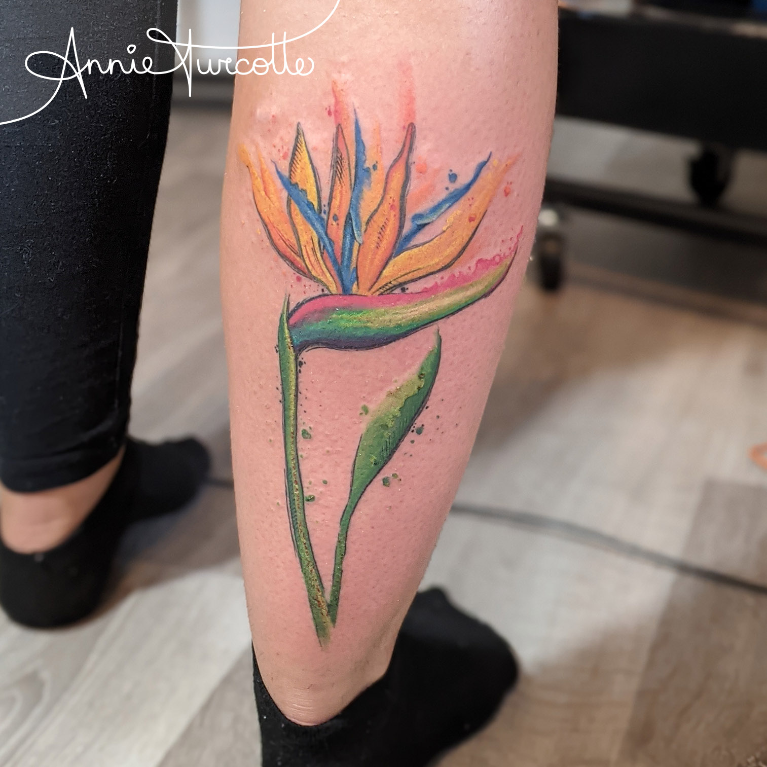 Tatouage Oiseau Du Paradis Fleur