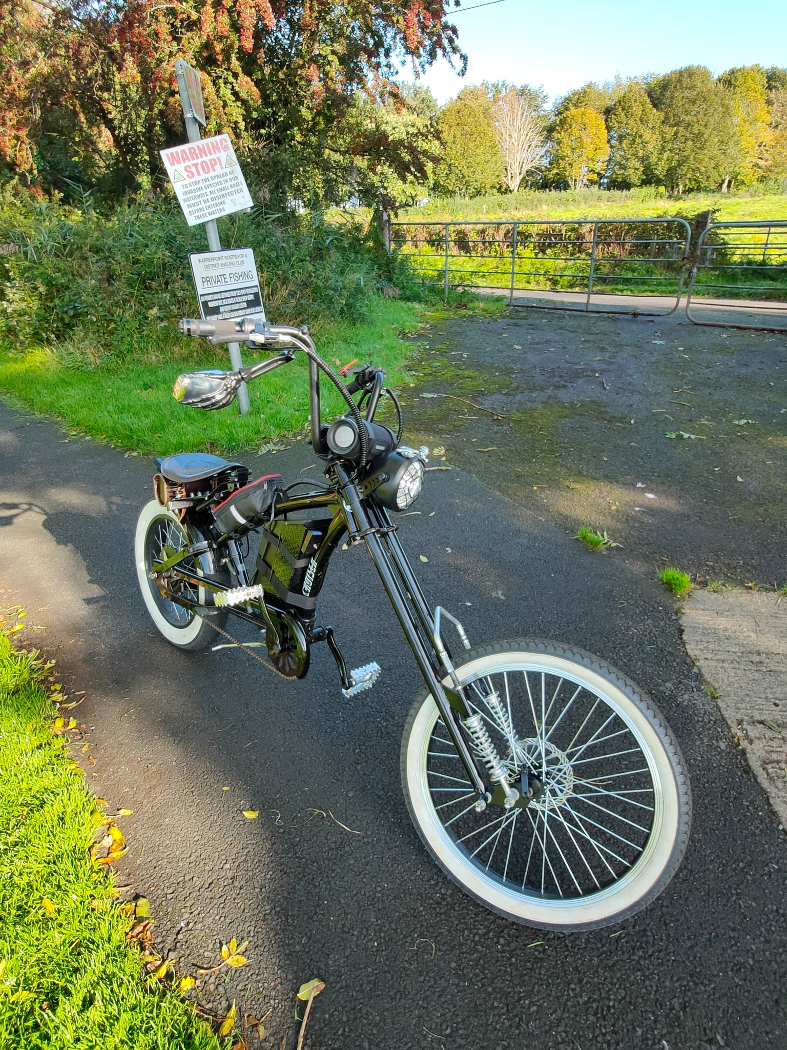 Schwinn Sting-Ray Spoiler Group | Facebook