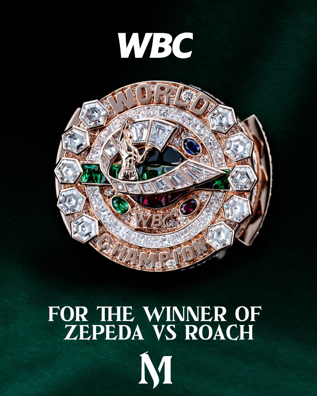 WBC缶バッジ　アメリカ、ドミニカ、ベネズエラ、メキシコ、プエルトリコ、コンプ World Boxing Council added a new photo. - World Boxing Council