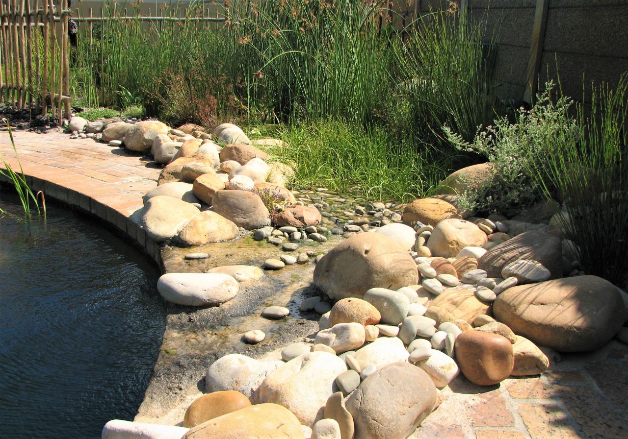 Here we tried to emulate a stream... - NatureLife Pools