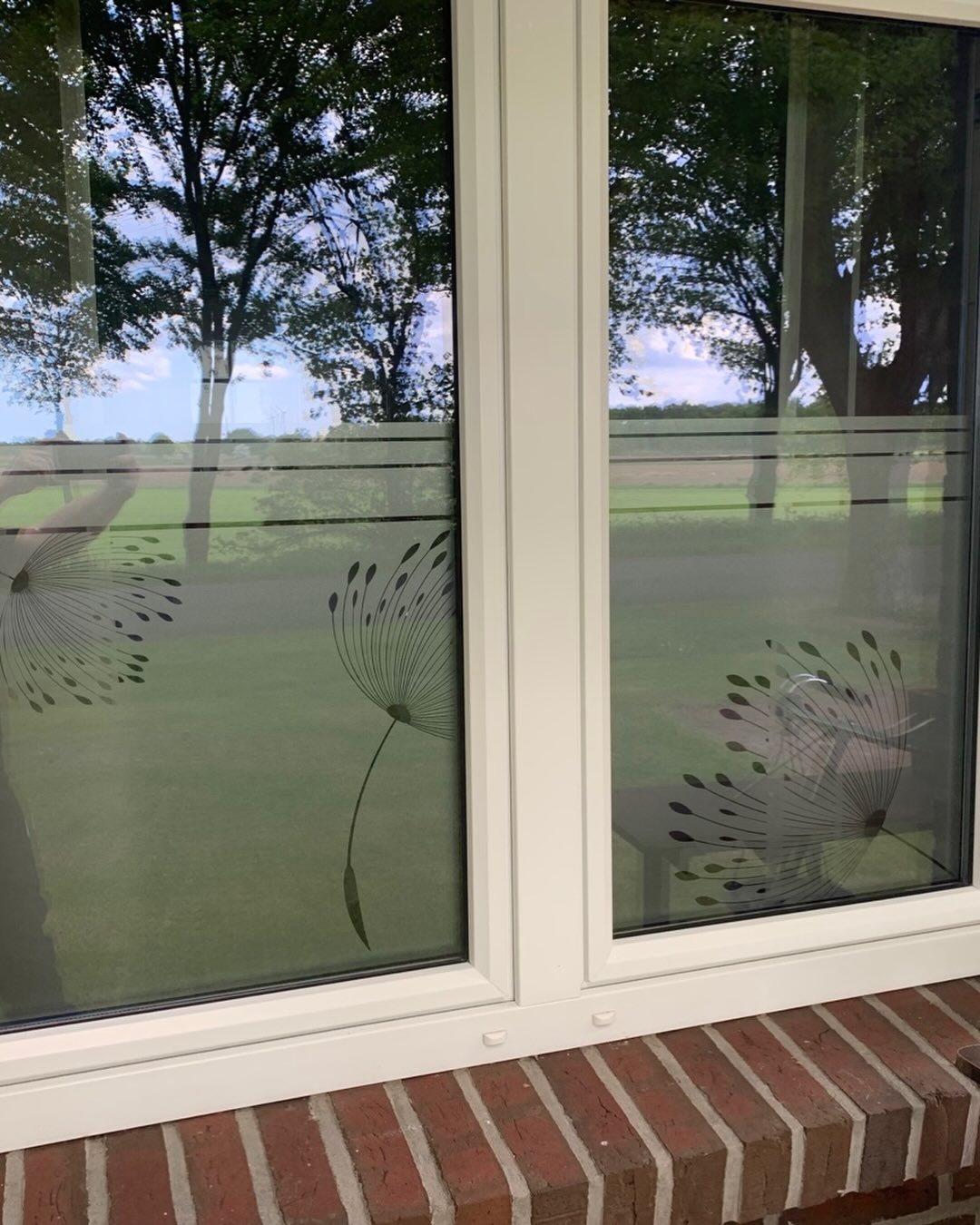 pusteblume #fenster #folie #sichtschutz #bekleben
