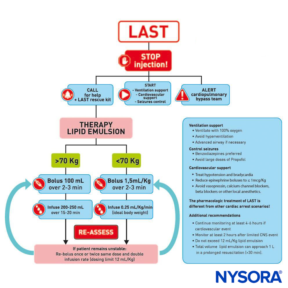 l carnitine overdose L-Carnitine in Mitochondria Thyroid Supplement with L-Carnitine for