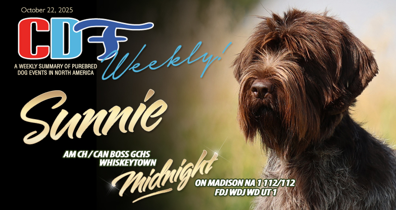 Canadian - CDF Weekly | Your Summary of Canadian Dog Events - https ...