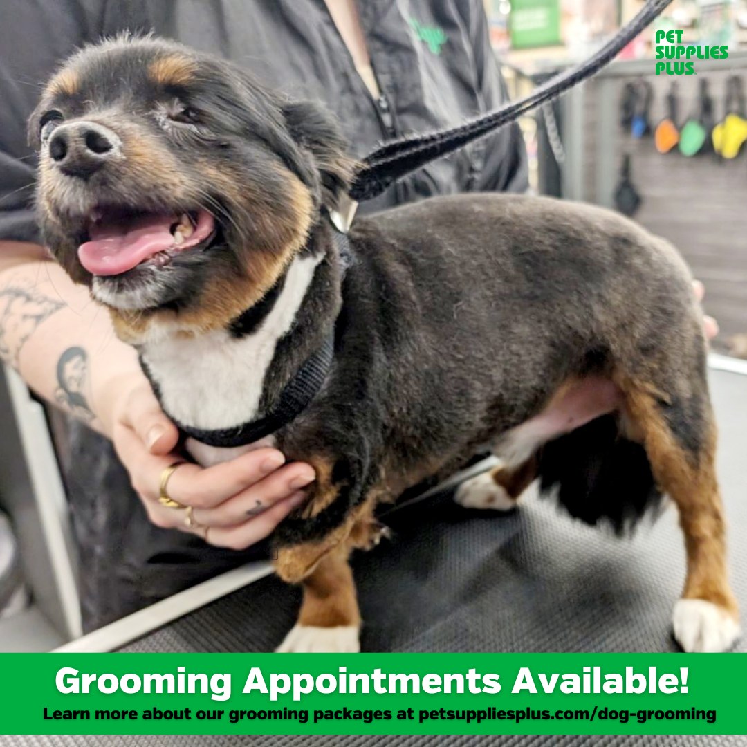 Pet Supplies Plus Bethel Park