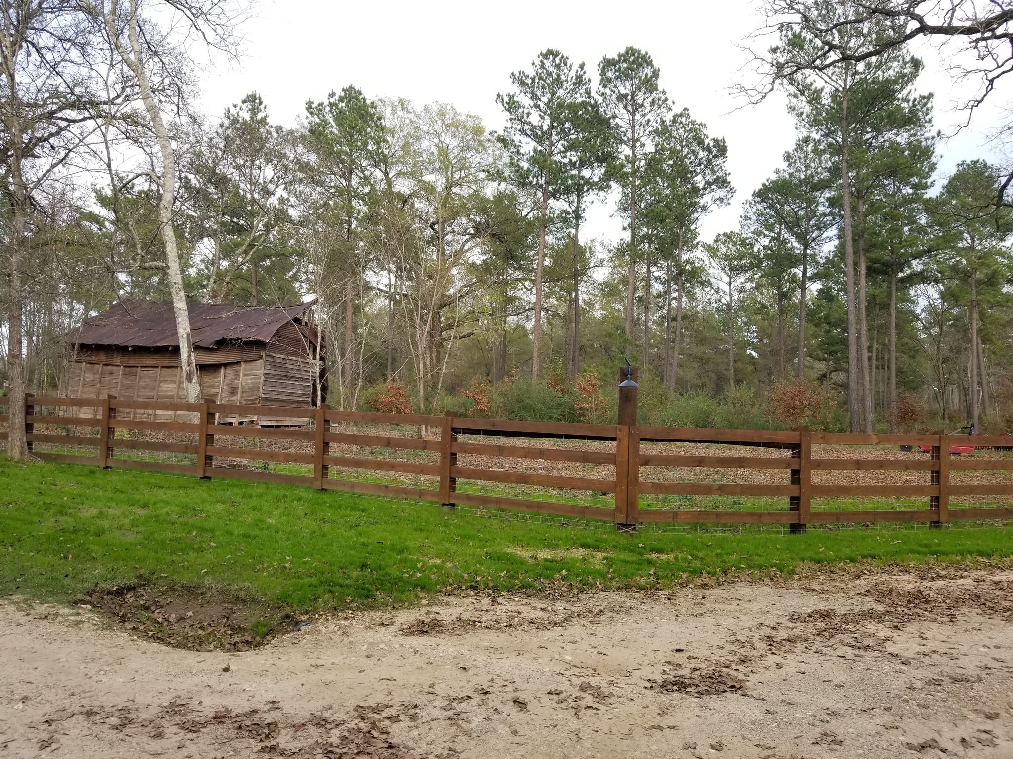 Which Way Tree - East Texas Homestead