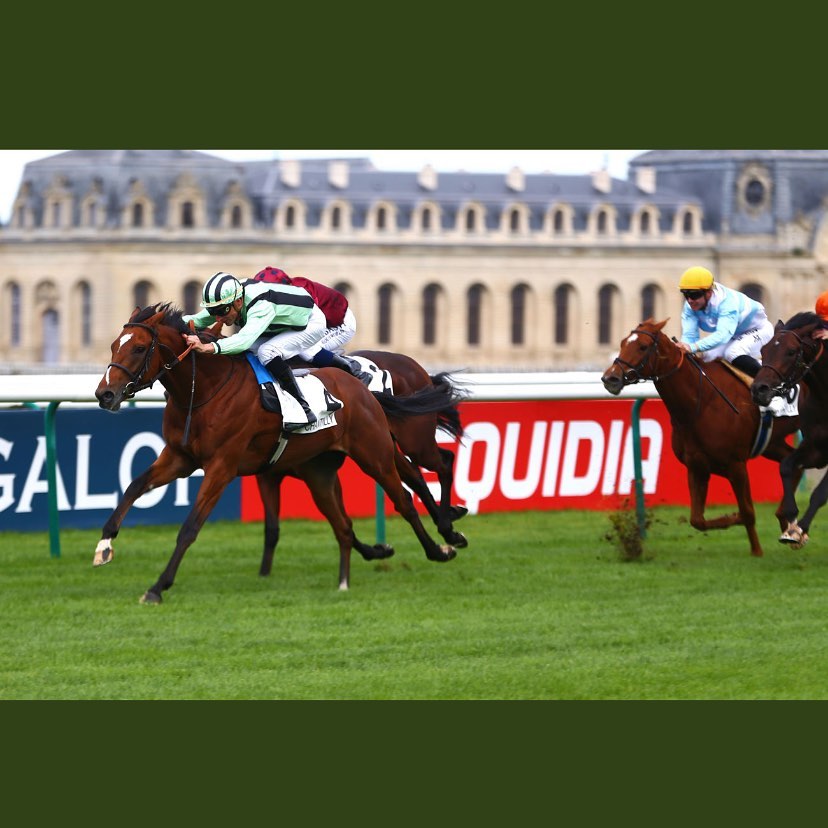 El Bodegon wins the Prix De Conde... - James Ferguson Racing | Facebook