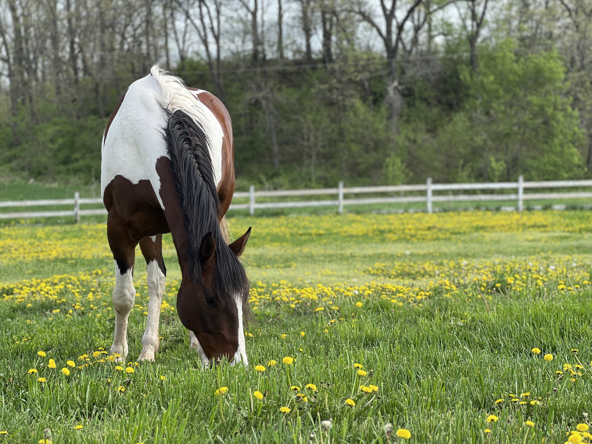 Lo Bar Ranch LLC | Wisconsin Dells WI
