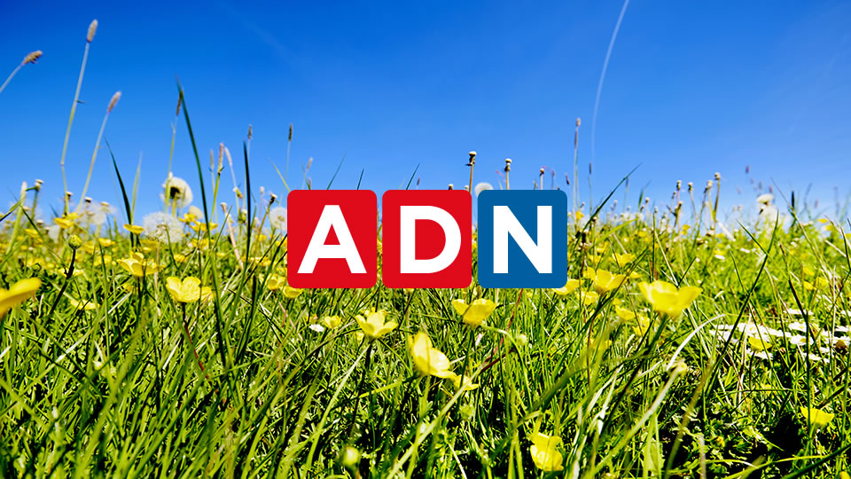 Agricultura - #Nacional | Federación del Rodeo Chileno... | Facebook