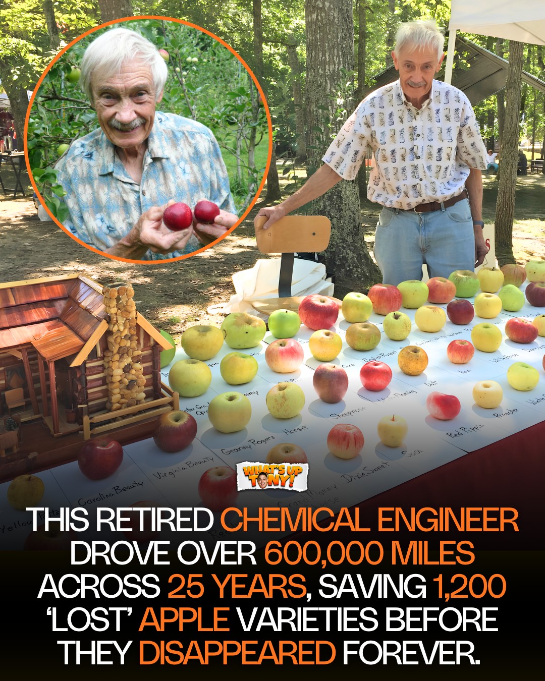 A retired chemical engineer found an apple in a small farmers