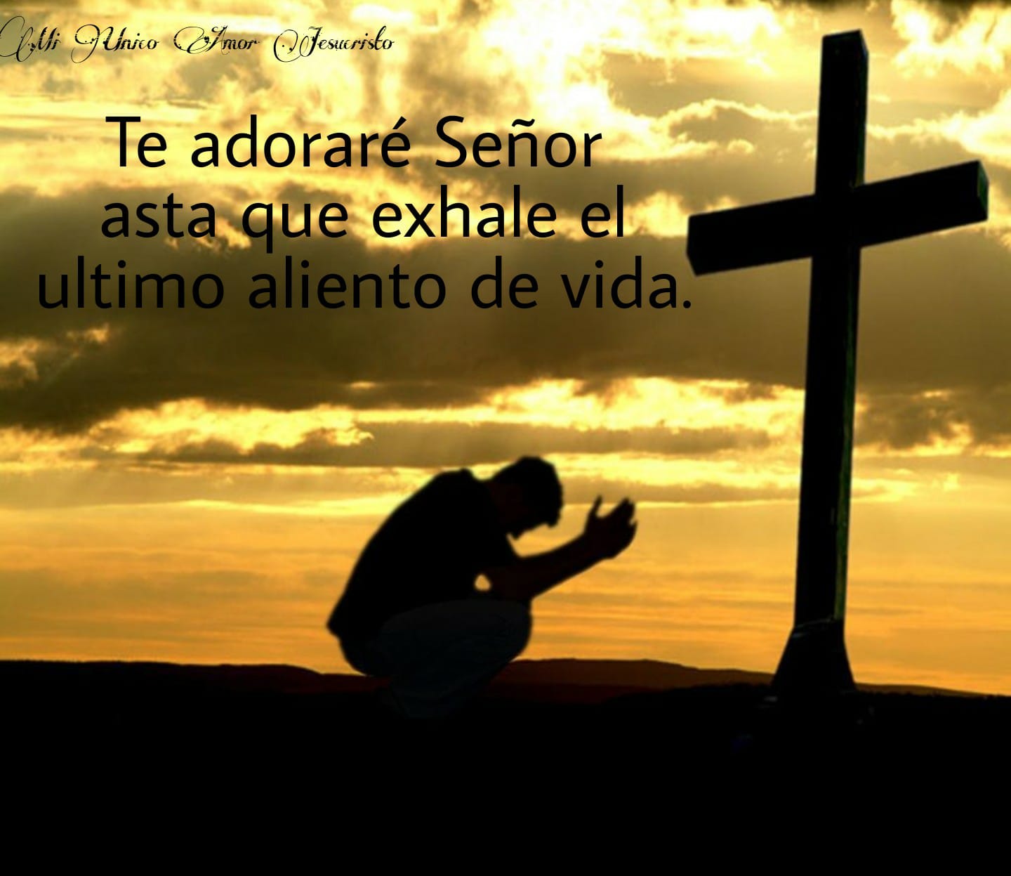 Mi Unico Amor Jesucristo Home Facebook