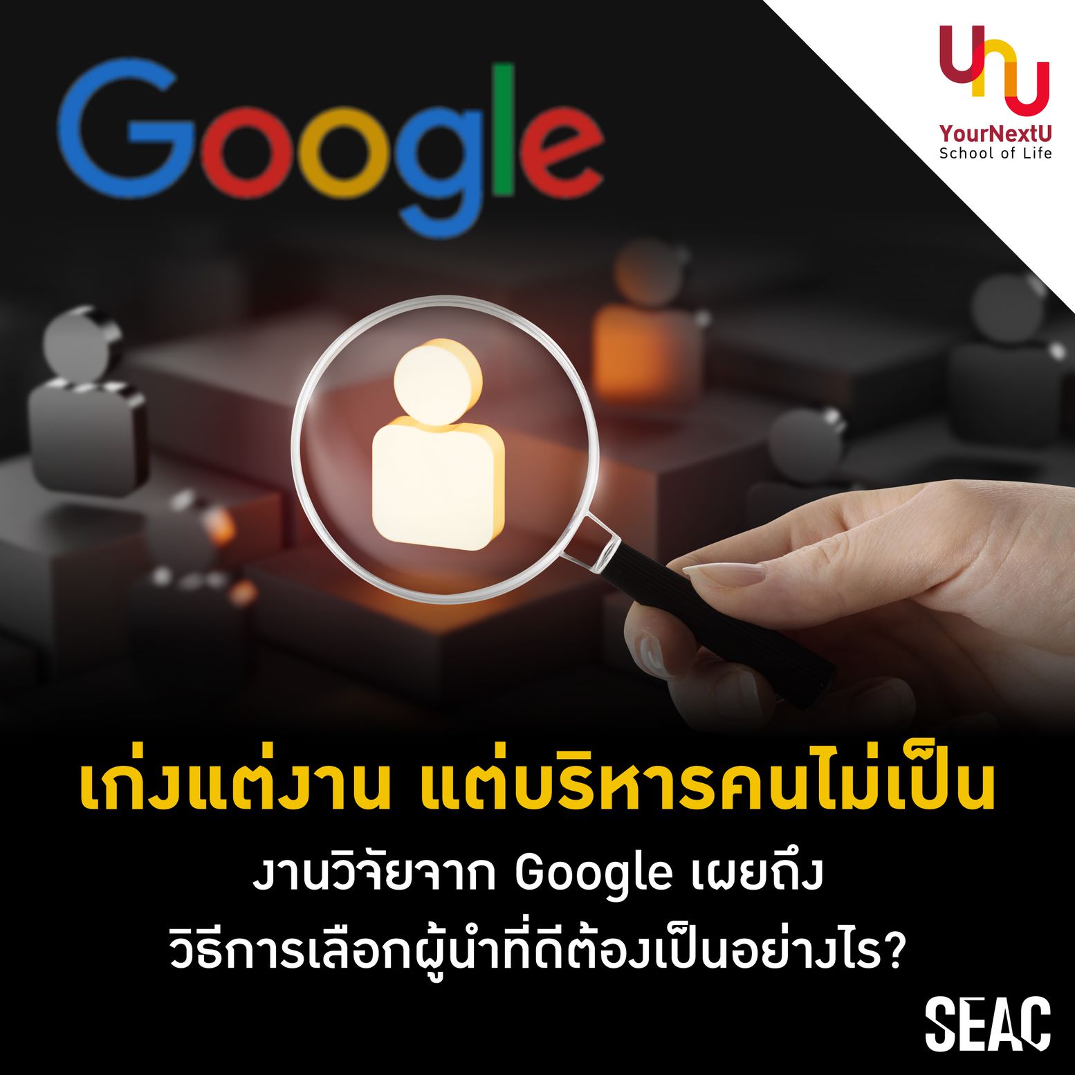 Yournextu - เก่งแต่งาน แต่บริหารคนไม่เป็น งานวิจัยจาก...