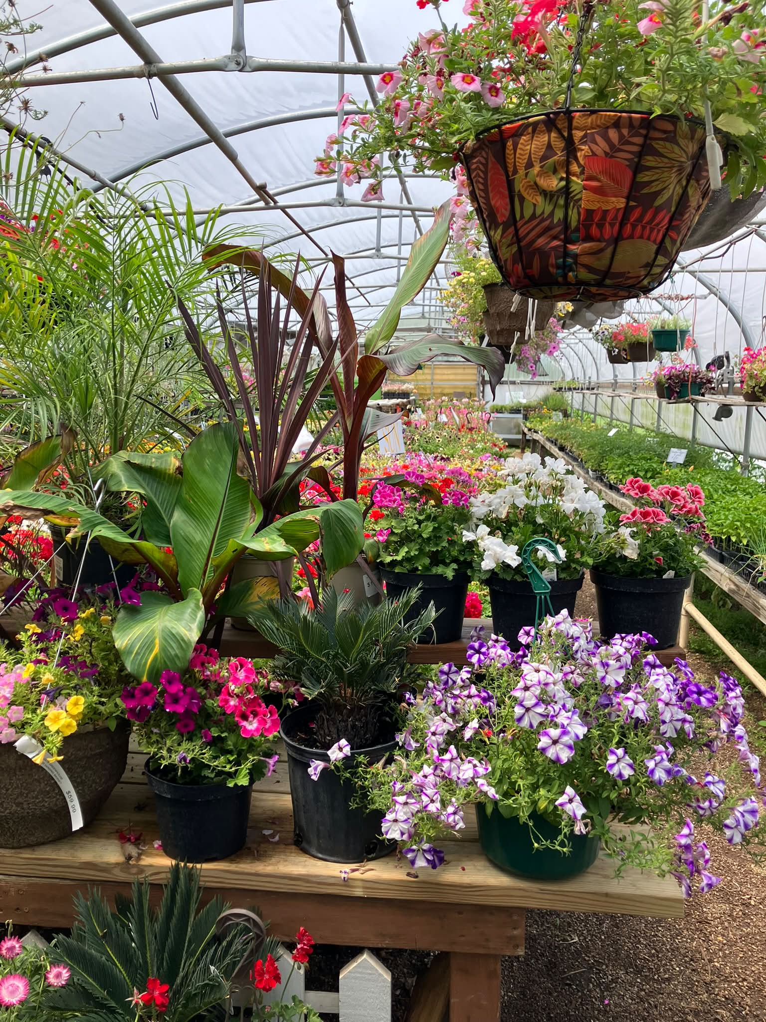 Mulder Produce and Garden Gate Greenhouse | Lake Benton MN