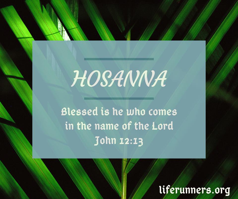 Life Runners Then The Multitudes Who Went Before And Those Who Followed Cried Out Saying Hosanna To The Son Of David Blessed Is He Who Comes In The Name Of The facebook