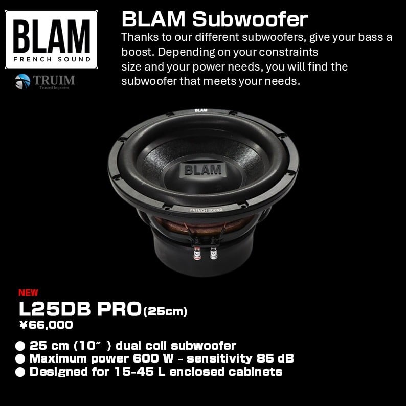 み*木様 BLAM LT 28 ツィーター 2個セット み*木様 BLAM LT 28