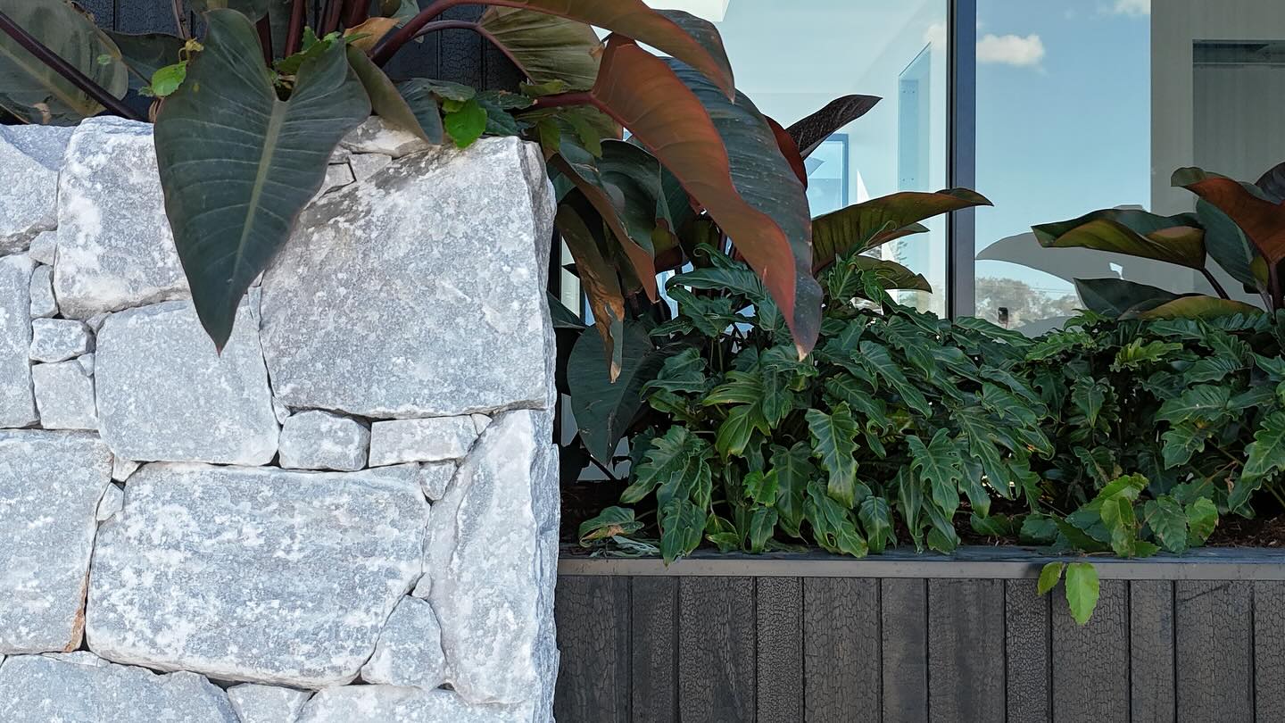 SSR Projects Pty Ltd | Cronulla NSW