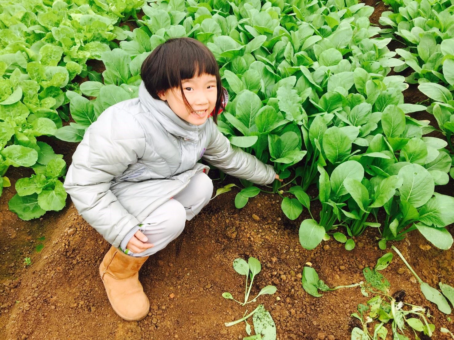 橡樹心田 Oak Tree... - 橡樹心田 Oak Tree Land-田中橡樹幼兒園 橡樹美語