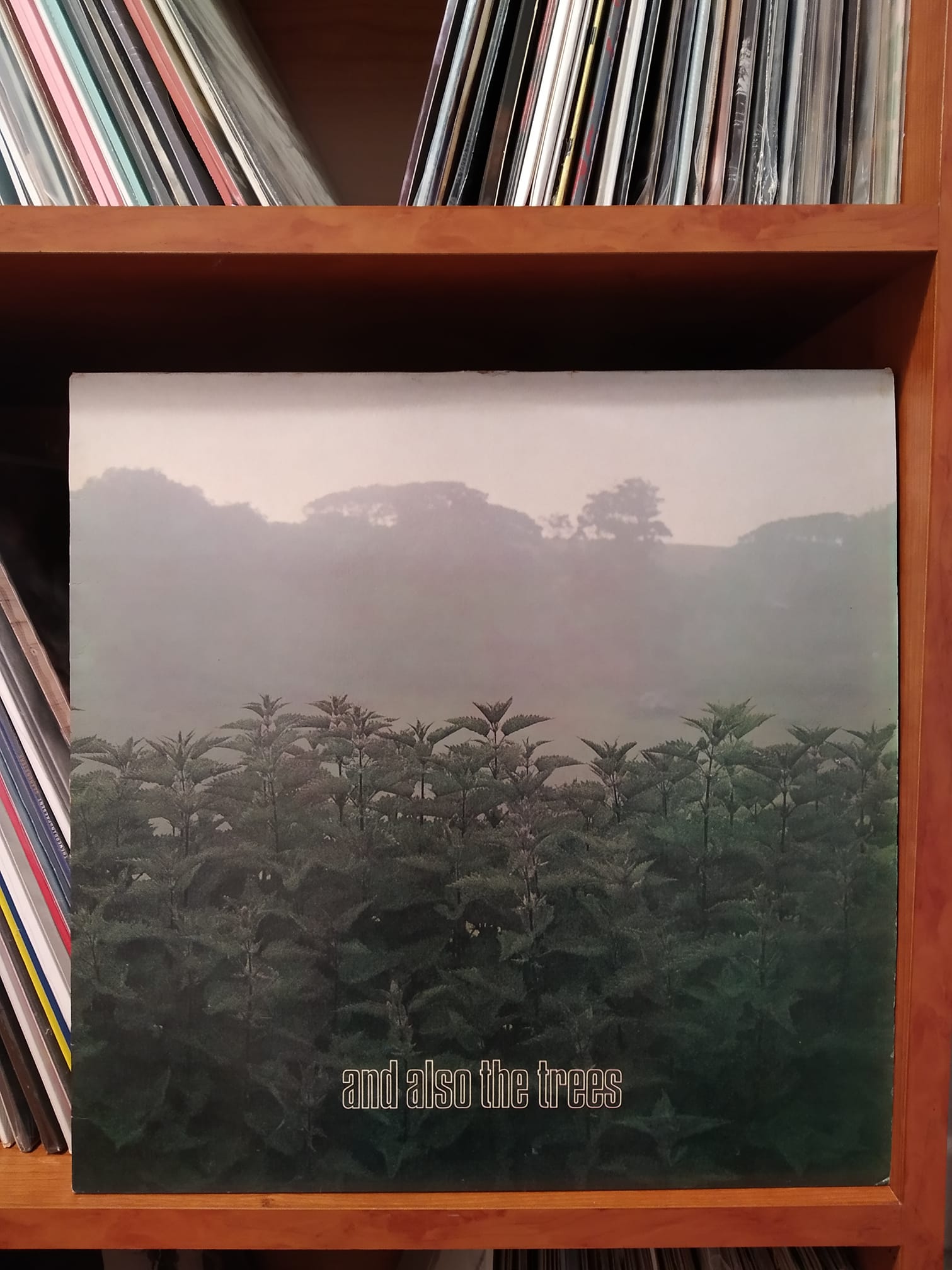 And Also The Trees - The Millpond Years (1988 Reflex Records)