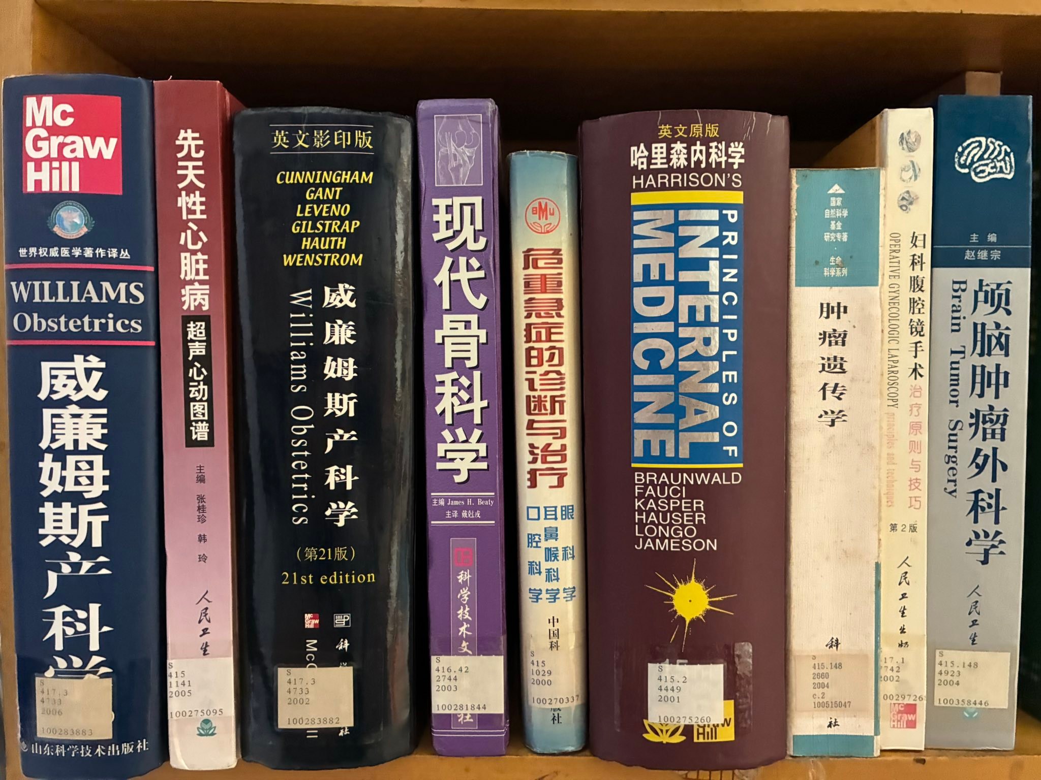 Williams Obstetrics 第21版 ネット直販サイト