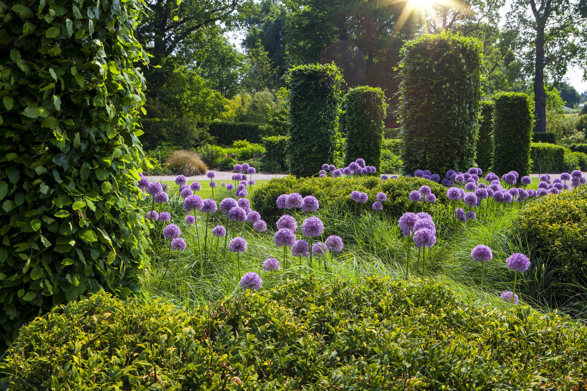 Highfield Garden World added a... - Highfield Garden World