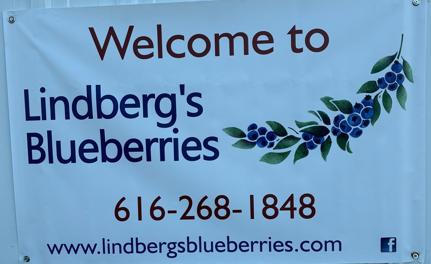 Lindberg's Blueberries | Coopersville MI