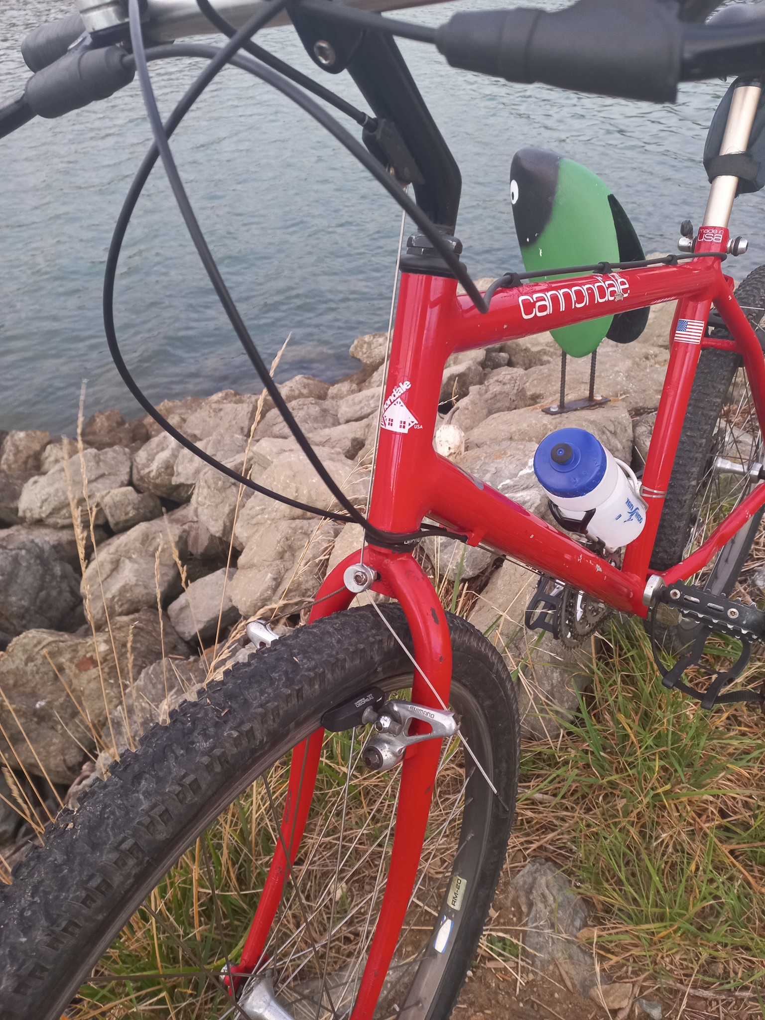 Riding a refurbished 1988 Cannondale SM1000