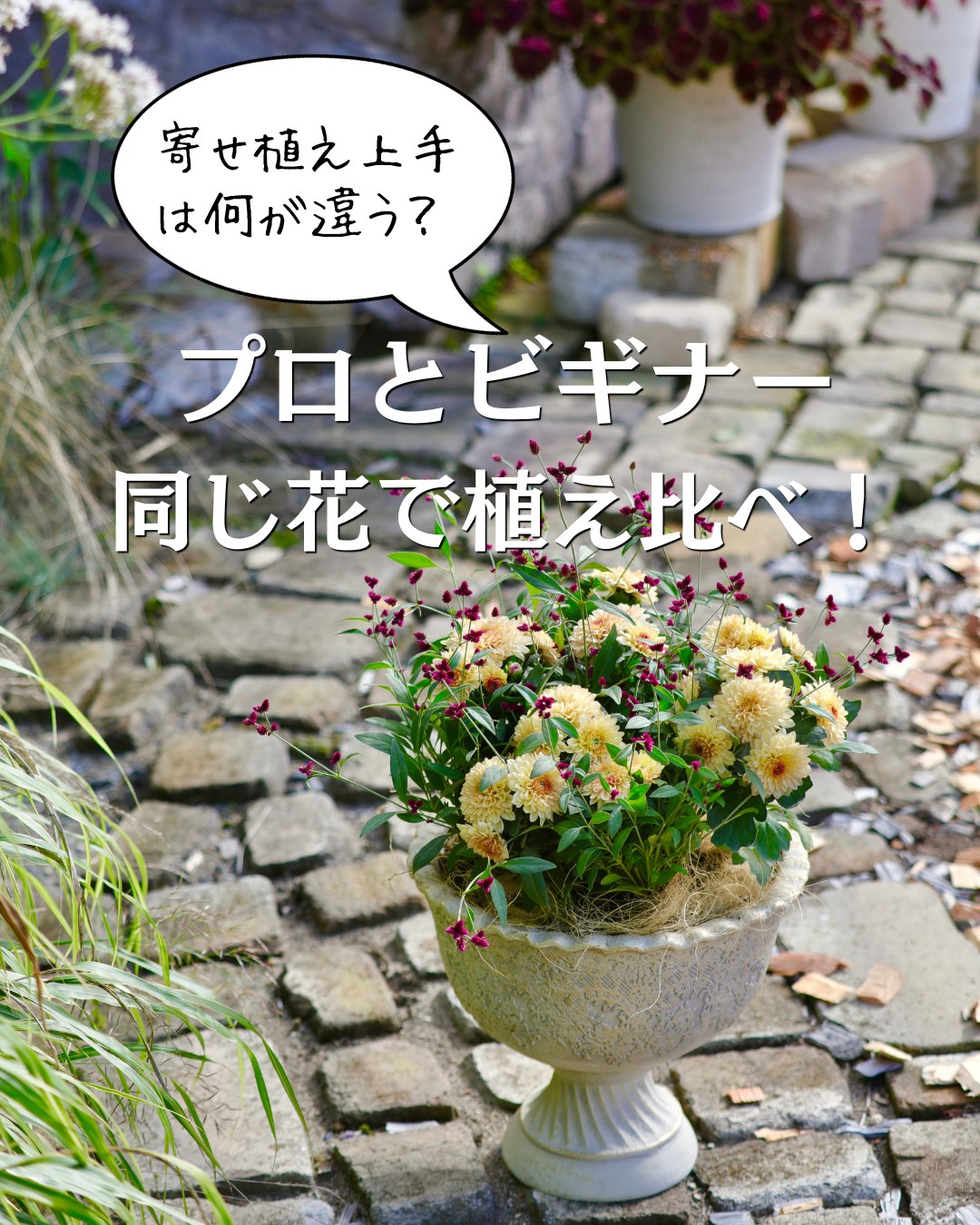 M&B FLORA