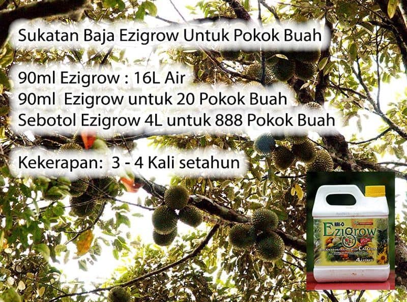 Assalamualaikum Salam Maal Hijrah Ezigrow Kelantan Facebook