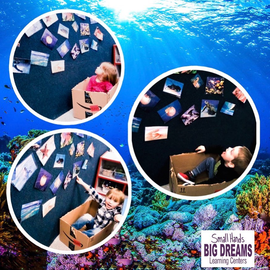 🌊 Look how cute... - Small Hands Big Dreams Learning Centers