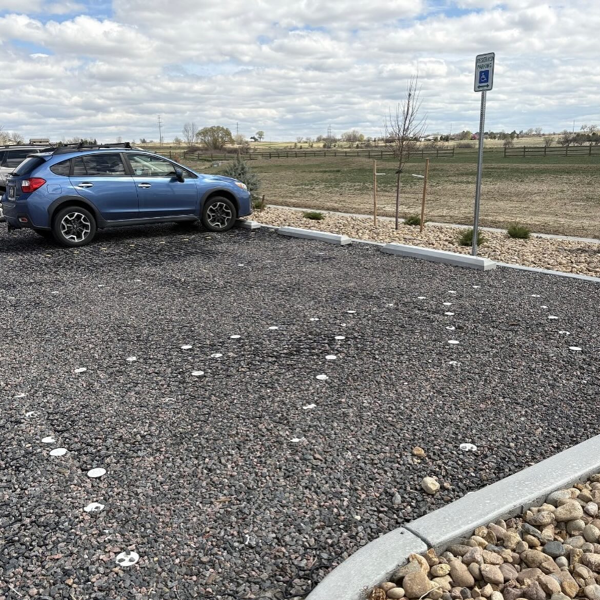 Truegrid Pavers