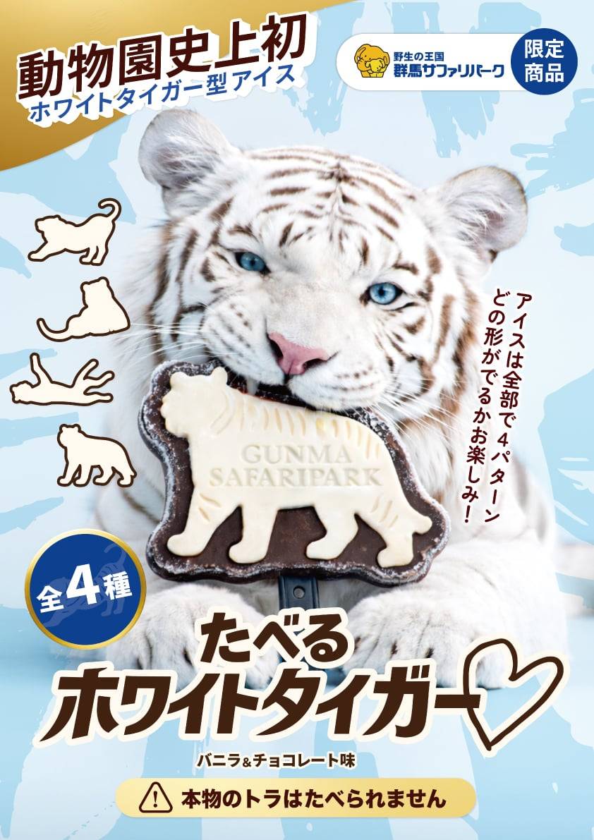 新発売】 ホワイトタイガーがアイスに⁉️🐯🍦 全4種類のランダム仕様