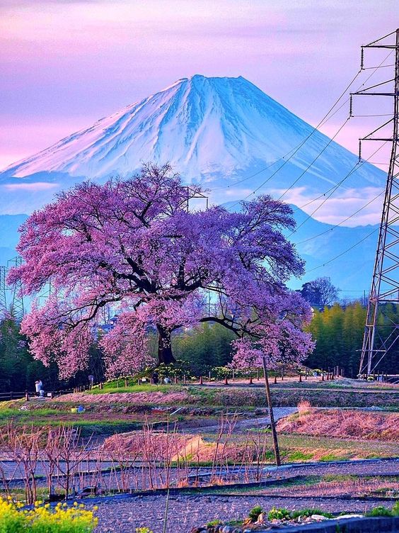 美しき日本の風景 自然と伝統 | Facebook