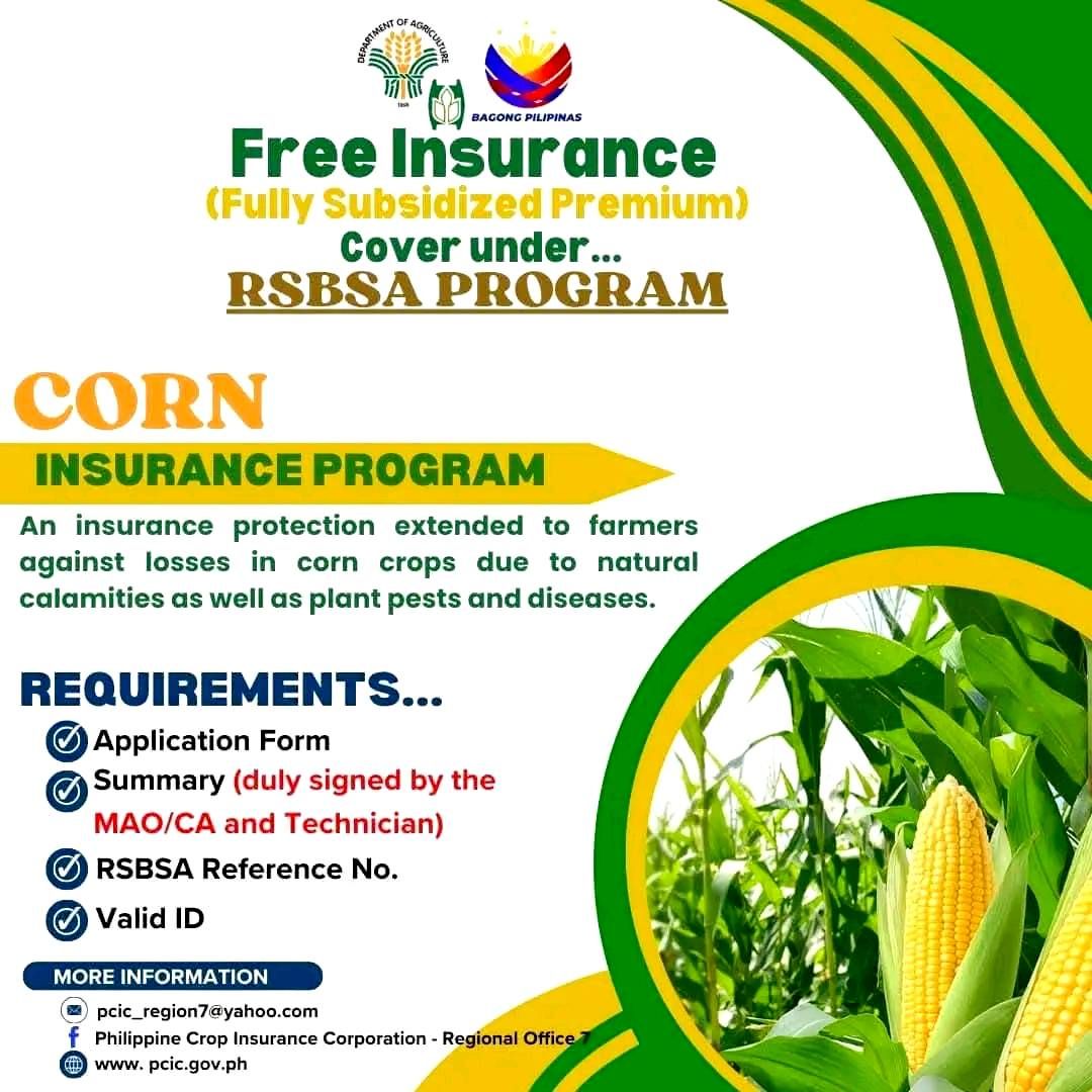 𝐅𝐑𝐄𝐄 𝐈𝐍𝐒𝐔𝐑𝐀𝐍𝐂𝐄... - Municipal Agriculture Office-Daanbantayan | Facebook