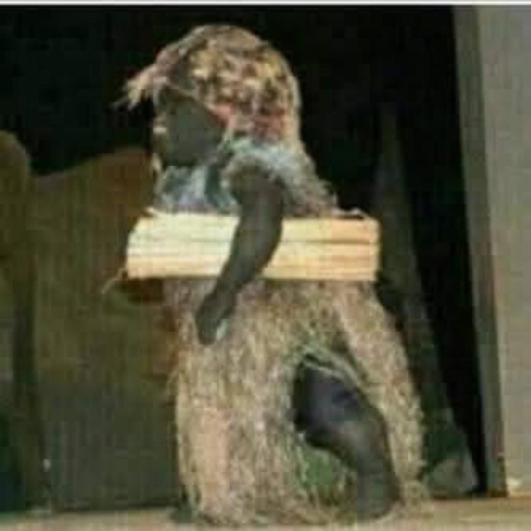 Have you seen a bush baby before? If yes, drop evidence #drama