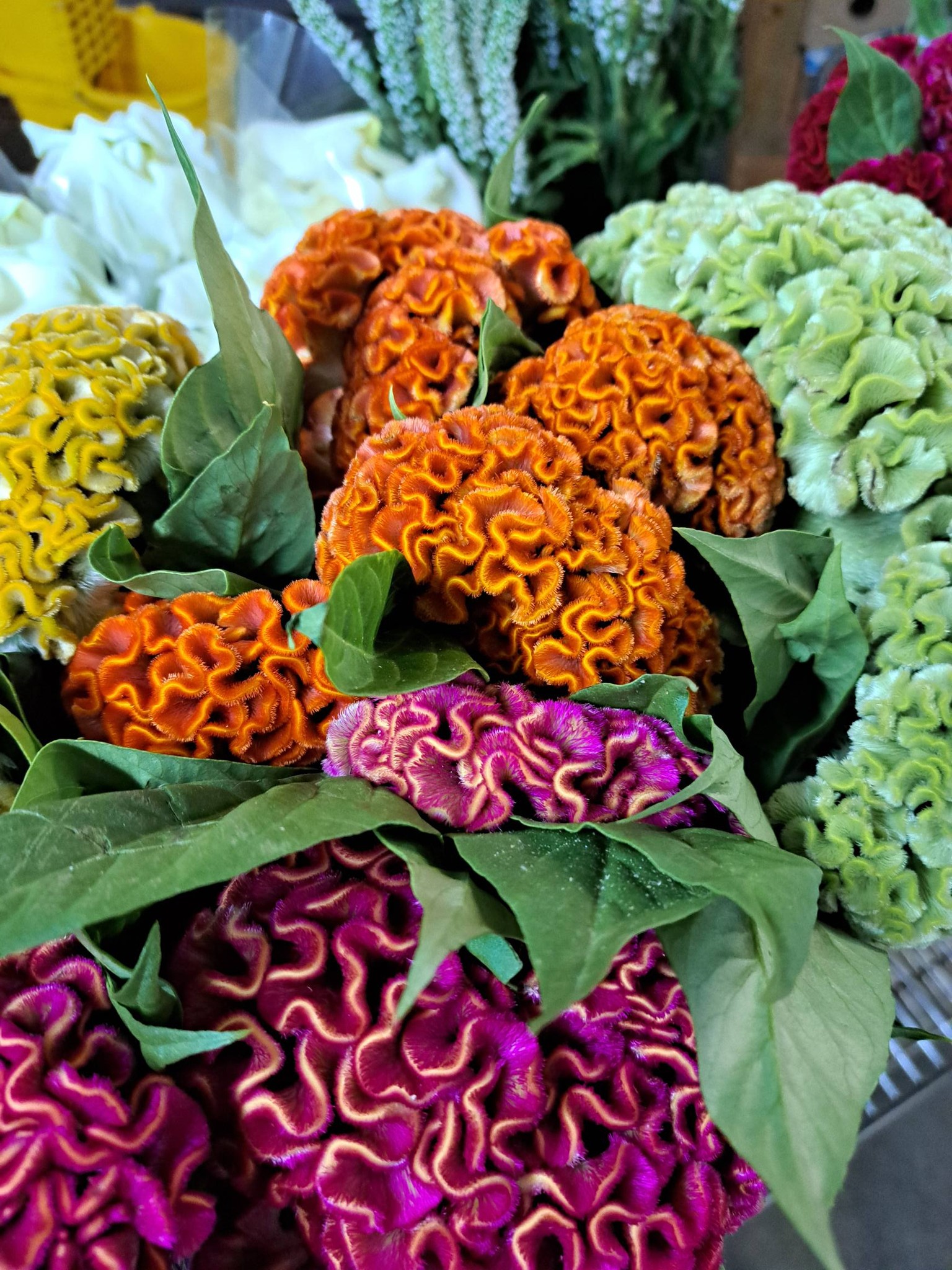 Lots of fresh flowers today.