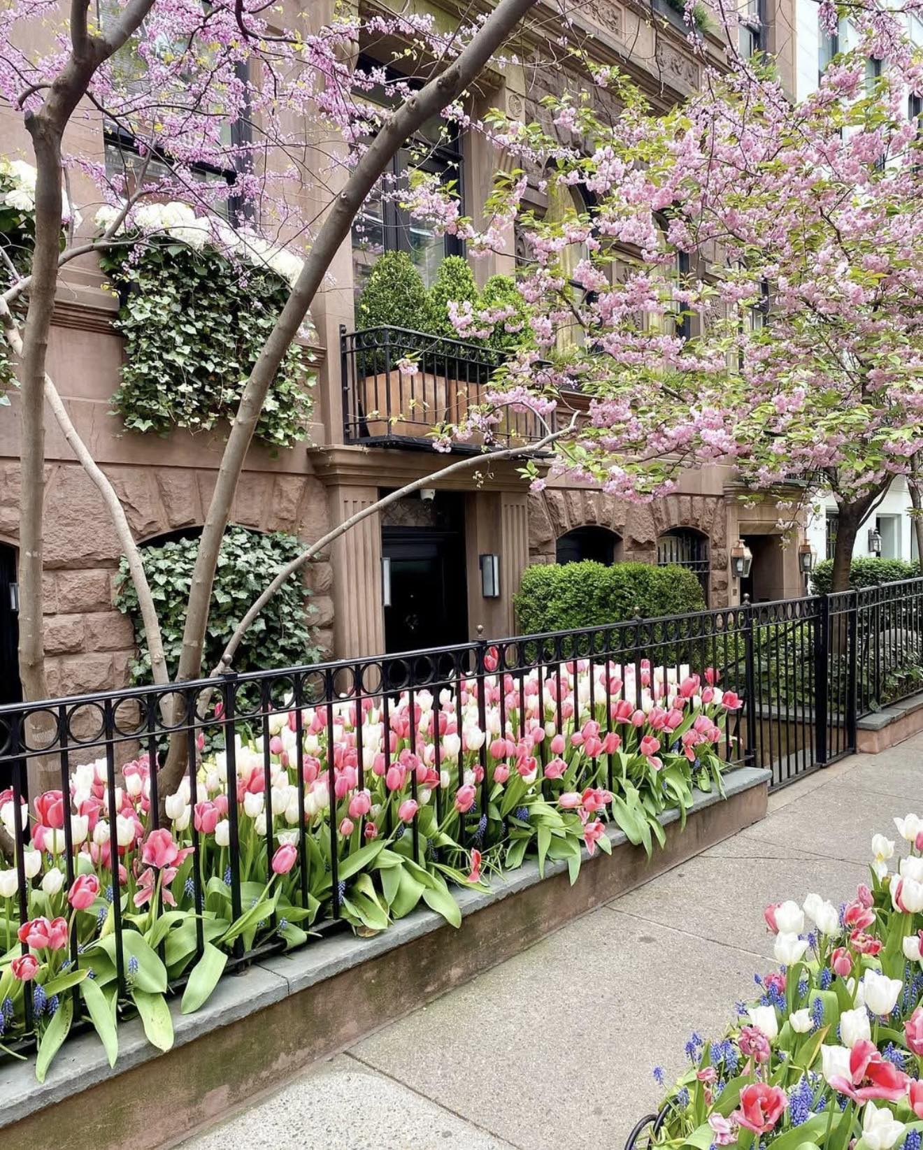 Everything is in full bloom on the Upper East Side NYC