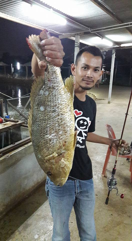adik dapat gasak jenak besar - Best PD Fishing - Kolam 1 | Facebook