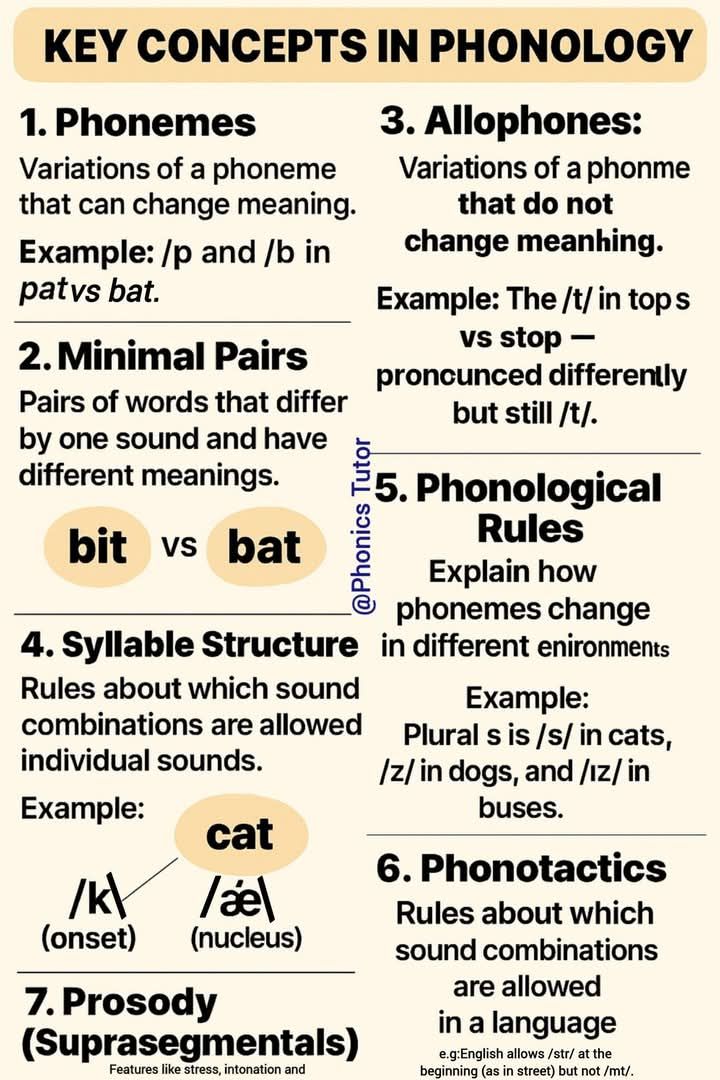 洋書 Phonological Structure and the History 洋書 Phonological