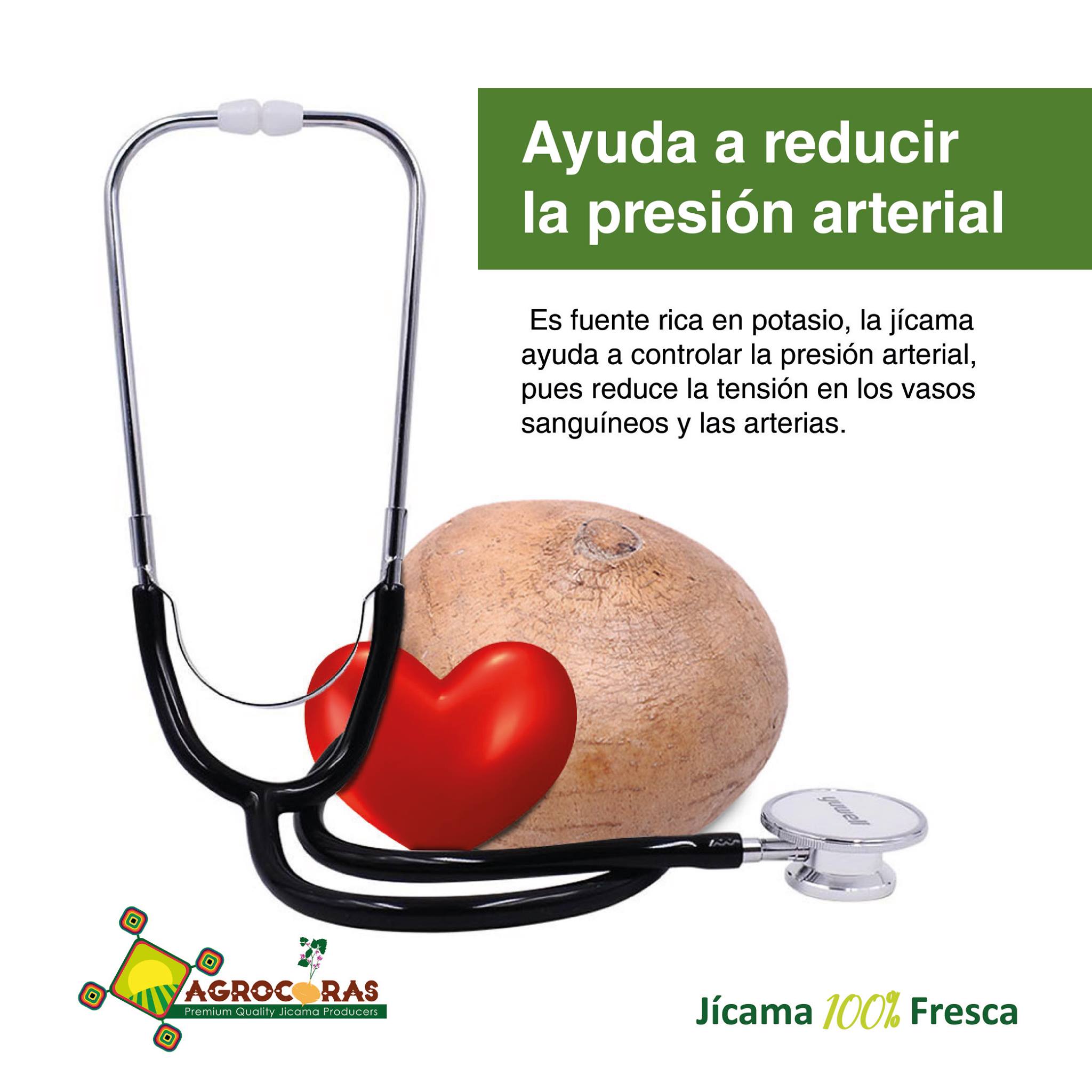 AGROCORAS - 👨‍⚕️Como una fuente rica en potasio, la jícama...