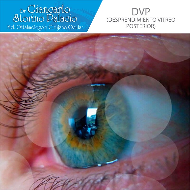 El desprendimiento... - Dr. Giancarlo Storino Palacio