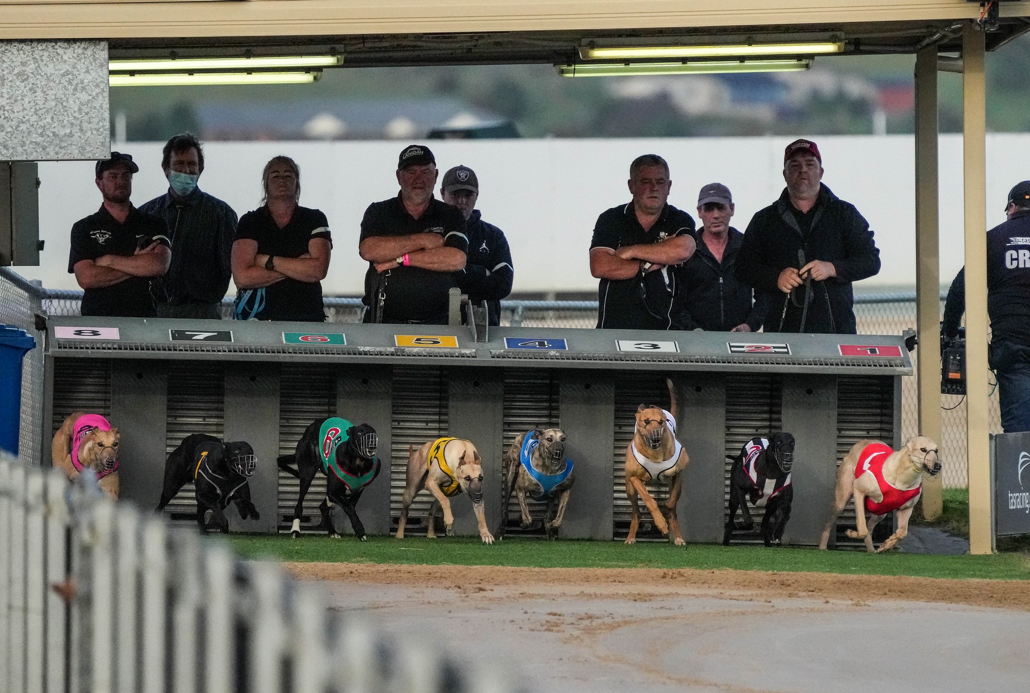 Tasracing | Hobart TAS