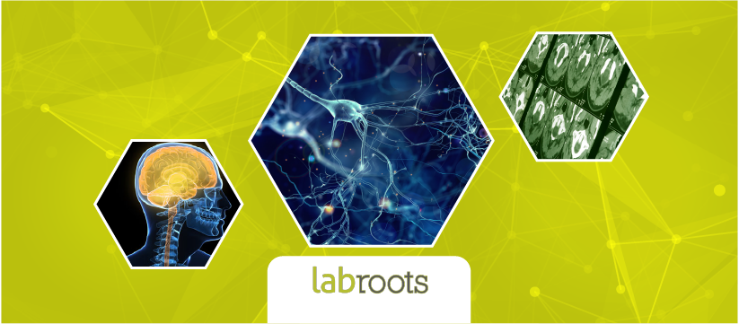 Neuroscience & Nervous System