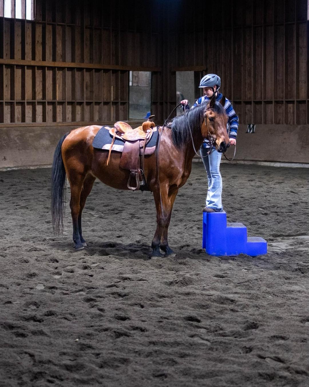 Midnite Riding Academy LLC | Olympia WA