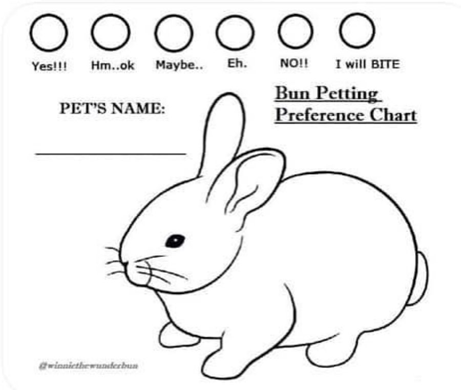 Have you seen this adorable... - Hug-a-Bunny Rabbit Rescue